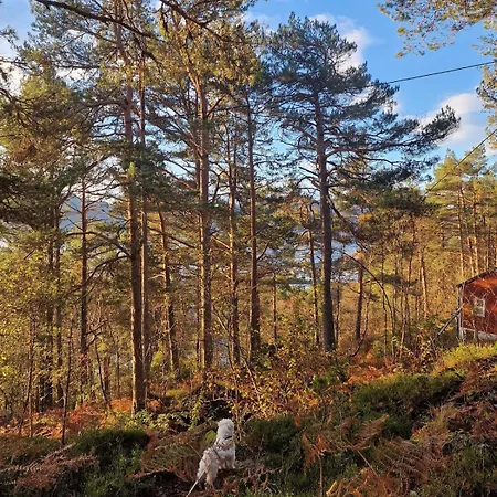 Ferienhaus Romantic Off-grid With Fjord & Mountain Views *