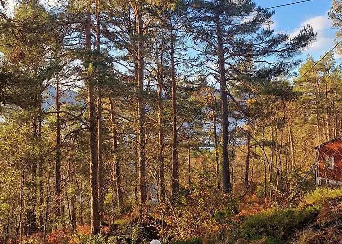 度假居 Privat Cosy Off-grid With Fjord View Near *